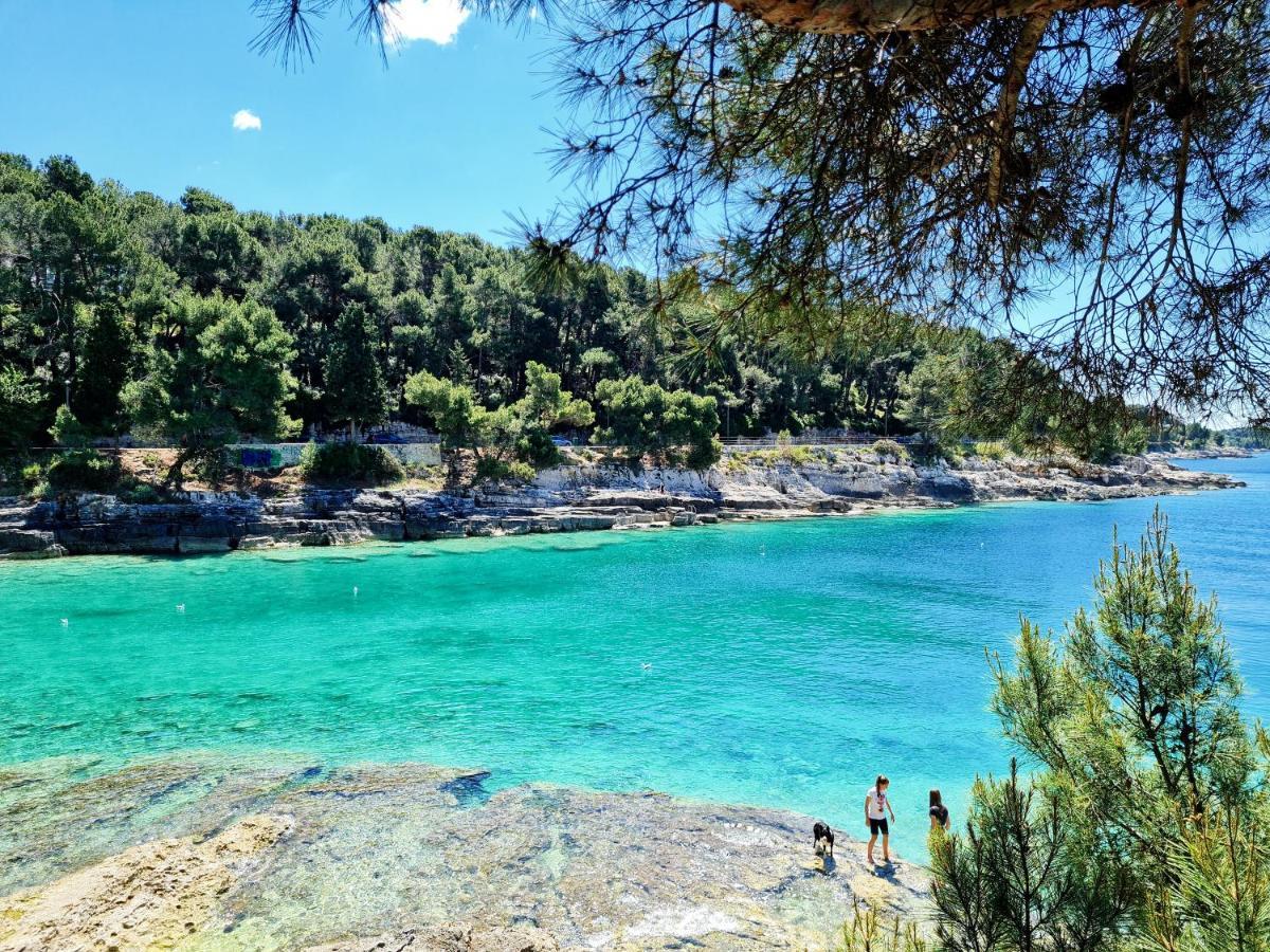 Holiday Home "Mala Kuca " With Heated Pool 普拉 外观 照片